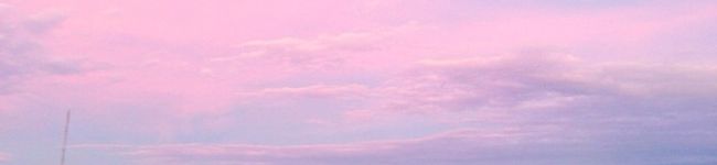 ちぃすず's header image