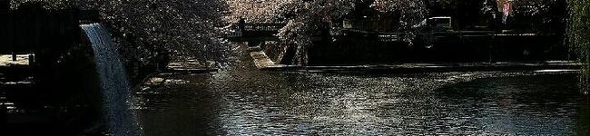 あき♡まほ's header image