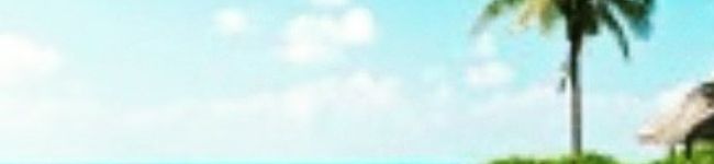 も♪☆☆♪こ's header image