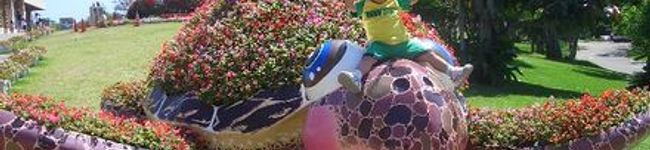 hyoki's header image