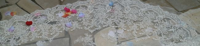 チロチロル's header image