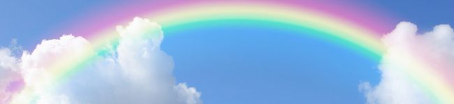 ★（╹◡╹）★'s header image