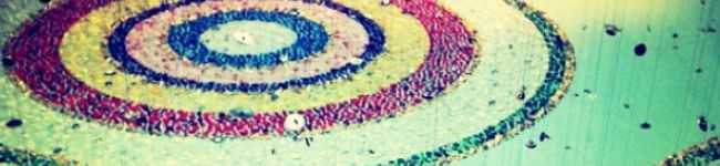 Mgizmo's header image