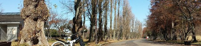 一人居酒屋's header image