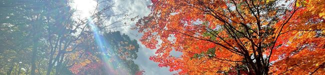 タケまま's header image
