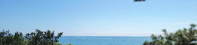 payaちゃん's header image