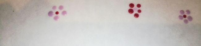 ranrans's header image
