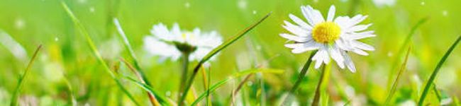 れもん。。's header image