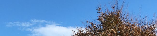 そらっくす•w•'s header image