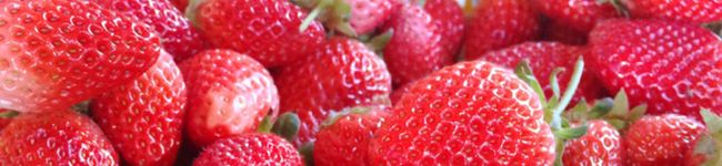 tokuherb's header image