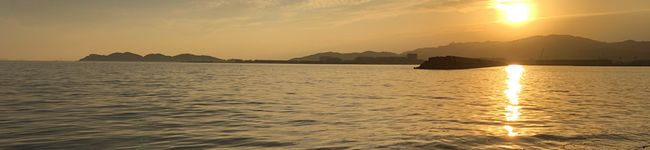 minmit's header image