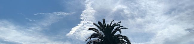 cycs's header image