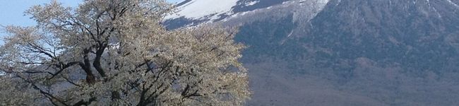 はからた's header image