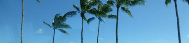 ♯miyumin's header image