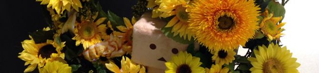 兎のみみこ's header image
