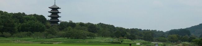 tnth1016's header image