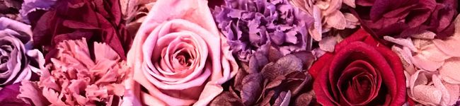 ♡♡♡R♡♡♡'s header image