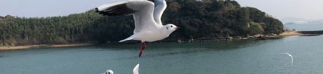 yuriemons's header image