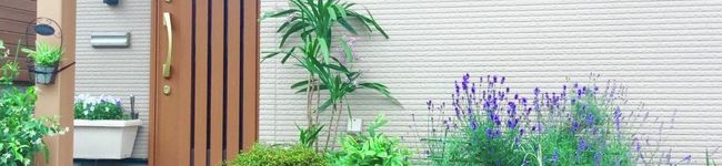 ソラソラソラ's header image