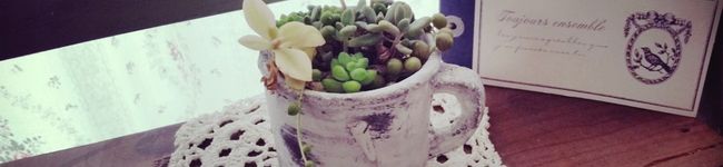 leafmama's header image