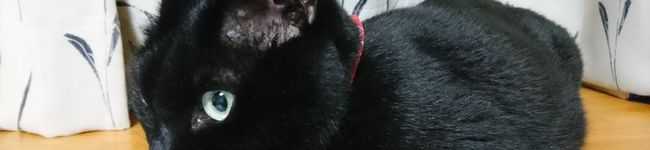 あいりんママ♪'s header image