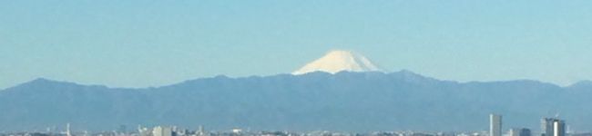 dopicochan's header image