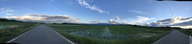 さくさく農園's header image