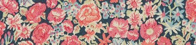 りゅりゅにゃ's header image