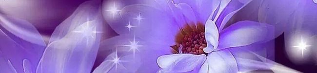 私流ズボラ料理♪'s header image