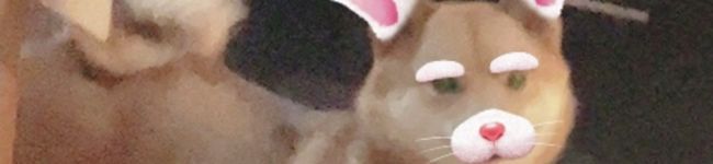 RUKA311's header image