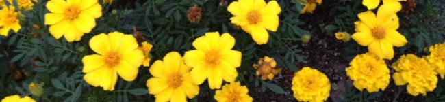 aimi23's header image