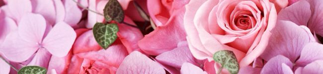 kumi0901's header image