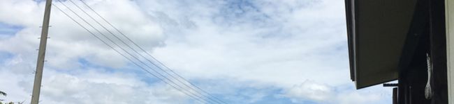 だんだんダルマ's header image