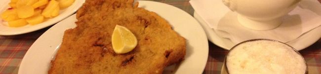 Wilküre's header image