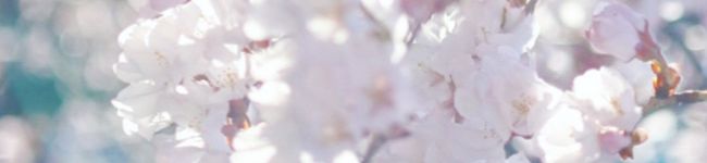 moogu_'s header image
