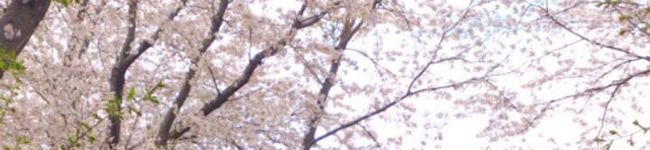 MEI＠ママ's header image