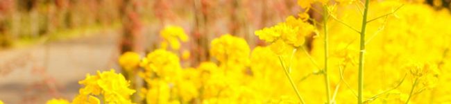 Yummi＊'s header image
