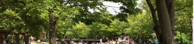 kusaaya's header image