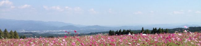 watawata☆'s header image