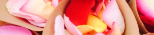 ヒロミ0411's header image