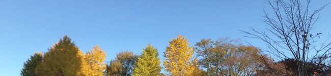 hohohorn_a's header image