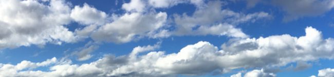 こむたん★'s header image