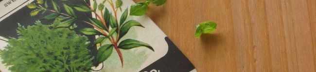 meguo2929's header image