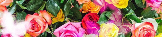 Naaana☆'s header image