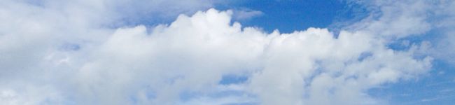 cyanapeco's header image