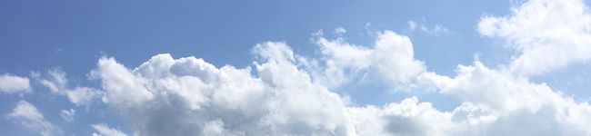 ぴっぴのぴー's header image