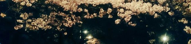どこにでもいる大学生's header image