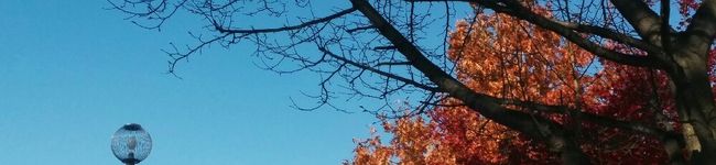 きずな108's header image
