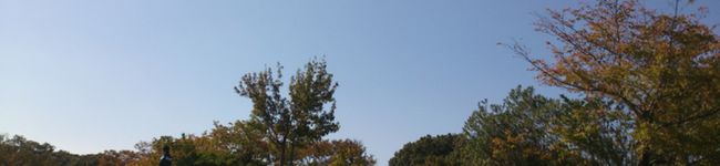 志音愛's header image