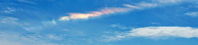 mnachu's header image